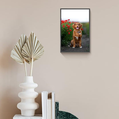 jenesaisquoi Upload Your Photo Image Custom Personalized Photo to Poster Printing Home Decor Wall Art Prints (Black Frame, 12" x 16")