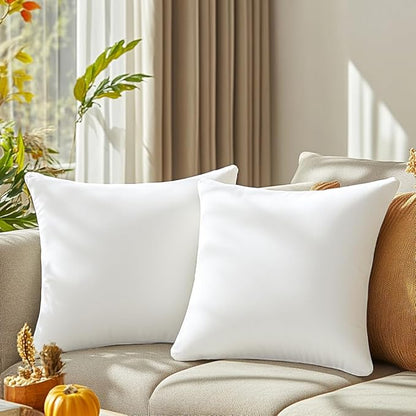 QUORGVES White Velvet Pillow Covers 20x20 Inch Set of 2, Soft Solid Decorative Square Throw Pillow Covers, Decor Cushion Covers for Bed Sofa Couch Bedroom Living Room