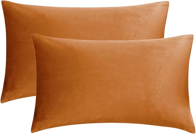 GIGIZAZA Cinnamon Orange Velvet Decorative Throw Pillow Covers for Sofa Bed 2 Pack Soft Cushion Cover
