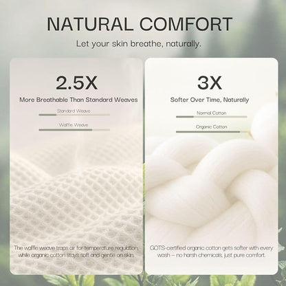 Salt Earth GOTS Certified 100% Organic Cotton Throw Blanket, 55" X 60" Waffle Blankets & Throws for Bed, Throw Blanket for Couch, Modern & Cozy Blanket, All Season, Comfy and Soft Blanket (Sun Bay)