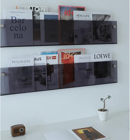 ROYALITA 2-Pack Acrylic Magazine Holder Brochure Holder, 17" Record Holder Magazine Rack, Fashion Hanging Bookshelf Literature Storage Rack for Waiting Room, Living Room, Office, Gray, 17 Inch