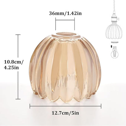 Tulip Lamp Shades Replacement, 5" Dia. * 4.25" H Amber Glass Sconce Shade Heavy and Thick for Wall Sconces Pendant Lights Ceiling Lights Chandelier, 2 Pack