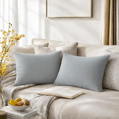 QUORGVES Light Grey Velvet Pillow Covers 12x20 Inch Set of 2, Soft Solid Decorative Lumbar Throw Pillow Covers, Decor Cushion Covers for Bed Sofa Couch Bedroom Living Room - Light Gray