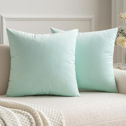 MIULEE Velvet Throw Pillow Covers 18x18 Inch, Pack of 2 - Mint Green, Soft Solid Decorative Pillow Covers Cushion Cases Modern Luxury Home Decor for Spring Couch Sofa Bedroom Livingroom