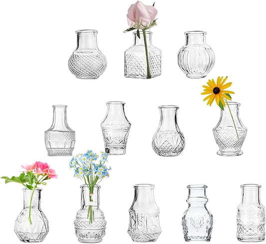Clear Glass Bud Vase Cute Mini Vases 12Pcs EylKoi Flowers Vintage Small Glass Tiny in Bulk Different Shape Modern Set Lovely for Decor Table Wedding Home Table Centerpieces Dinning Party