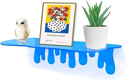 SetGame 2-Pack Acrylic Small Wall Shelves - 12 Inch Floating Shelf for Walls, Home Wall Display Ledges for Storage, Room Décor, Small Album & Items Organizer Display