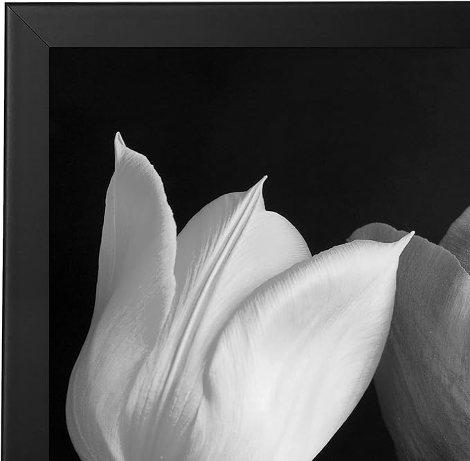 Americanflat 18x18 Picture Frame with Polished Plexiglass - Epic Collection - Square Picture Frame with Engineered Wood - Wide Photo Frames for Wall display - Black