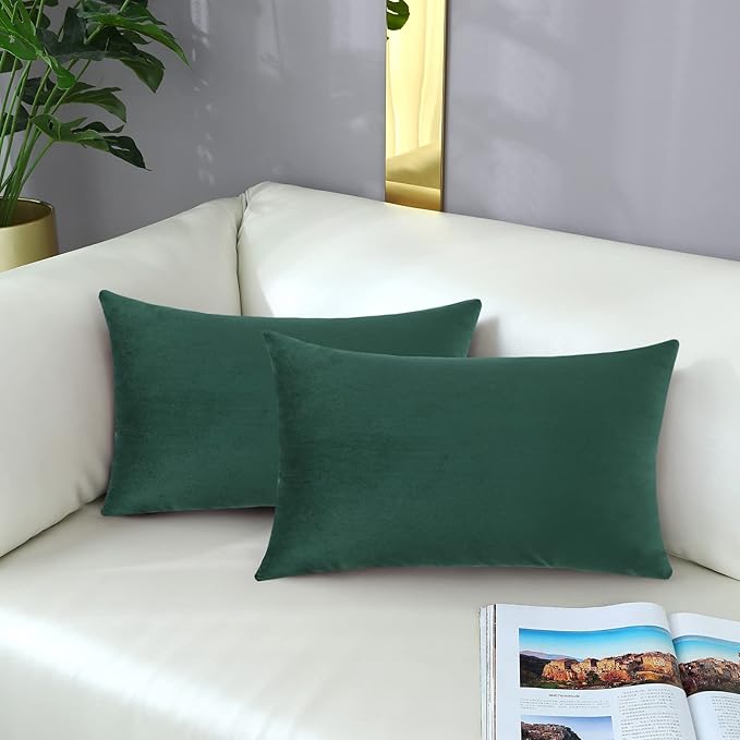 mixeoo Comfy Hunter Green Throw Pillow Covers Decorative Rectangle Solid Thick Velvet Super Soft Cushion Cases Home Decor for Sofa Couch Living Room Chair, Set of 2, 12 x 20 Inch