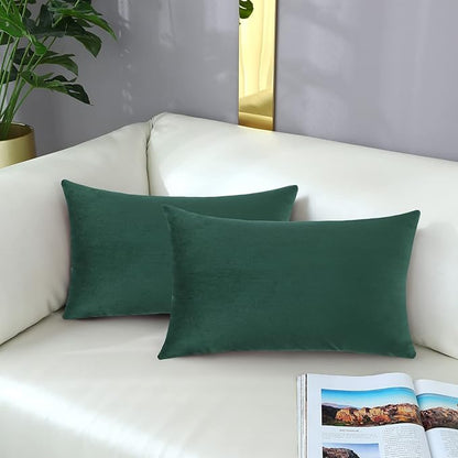 mixeoo Comfy Hunter Green Throw Pillow Covers Decorative Rectangle Solid Thick Velvet Super Soft Cushion Cases Home Decor for Sofa Couch Living Room Chair, Set of 2, 12 x 20 Inch