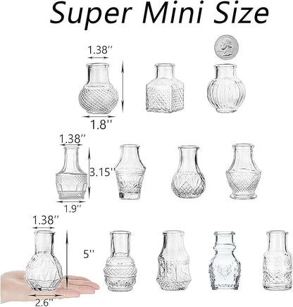 Clear Glass Bud Vase Cute Mini Vases 12Pcs EylKoi Flowers Vintage Small Glass Tiny in Bulk Different Shape Modern Set Lovely for Decor Table Wedding Home Table Centerpieces Dinning Party