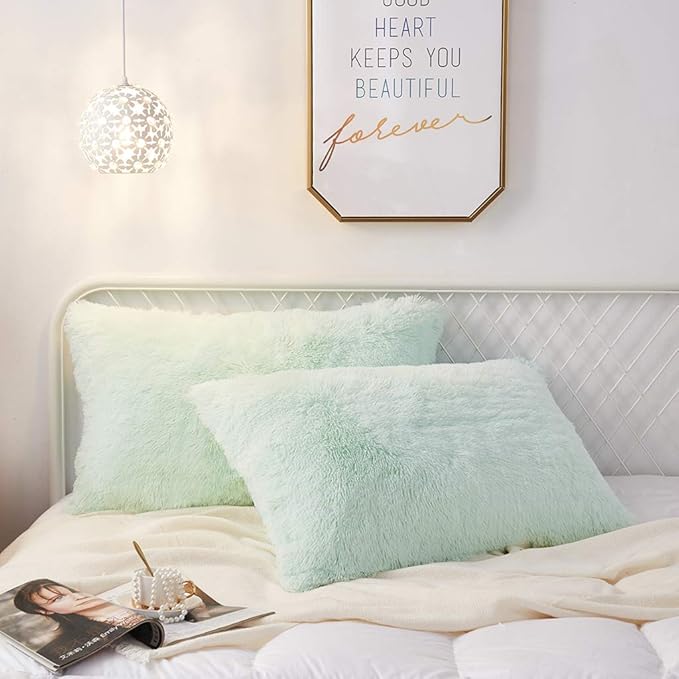 Uhamho Set of 2 Standard Queen Faux Fur Throw Pillow Covers Soft Velvet Decorative Pillowcases Zipper Closure(20 x 26 Inches Aqua)