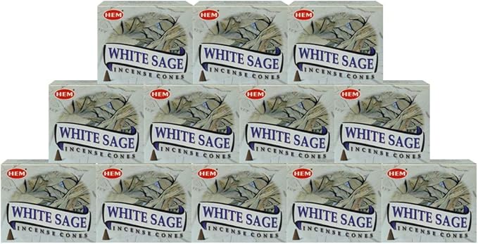 White Sage Incense Cones and Cone Incense Burner Bundle Insence Insense Hem Incense