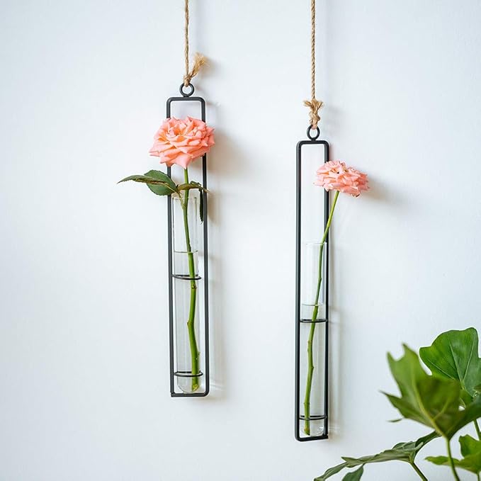 Sziqiqi Hanging Clear Glass Propagation Tube Vase for Cuttings, Hydroponic Plant Propagation Home Balcony Floral Container Wall Decoration Black 2ps (L+L)