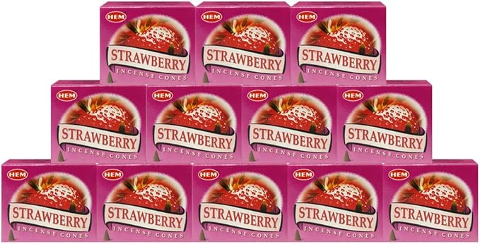 Strawberry Incense Cones and Cone Incense Burner Bundle Insence Insense Hem Incense