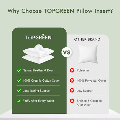 Feathers Down Pillow Inserts 12x12, Set of 2, 100% Organic Cotton Shell, Soft Decorative Square Throw Pillows for Living Room Sofa, Couch, or Bed (White)