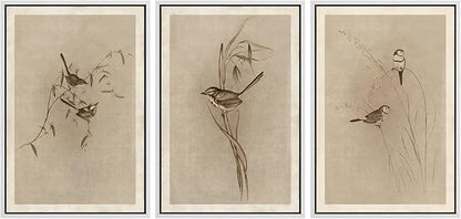 MUDECOR Framed Wall Art Print Set Vintage Bird Wheat Ear Illustrations Modern Art Boho Decorative Colorful Chic for Living Room, Bedroom, Office - 24"x36"x3 White