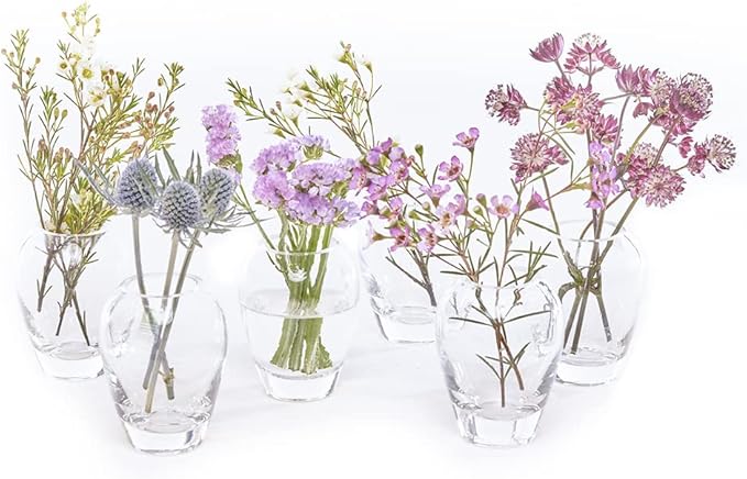 CHIVE ‘George’ Glass Bottle Flower Vases — Set of 6 — Small, Elegant Clear Glass Bud Vases — Bulk Pack for Home Decor & Table Centerpieces — Shape 1 (Oval, 4” Tall, 3” Wide)
