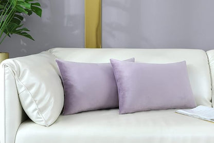 mixeoo Comfy Lavender Throw Pillow Covers Decorative Lumbar Solid Rectangle Thick Velvet Super Soft Cushion Cases Home Decor for Sofa Couch Living Room Chair, Set of 2, 12 x 20 Inch