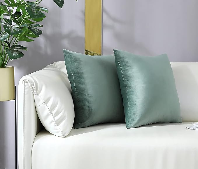 mixeoo Comfy Sage Green Throw Pillow Covers Decorative Square Solid Thick Velvet Super Soft Couch Cushion Cases for Bedroom Sofa Decor, Set of 2, 16 x 16 Inch