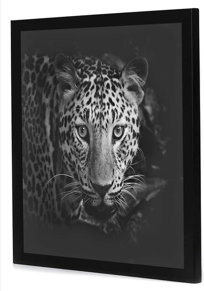 Americanflat 17x17 Picture Frame with Polished Plexiglass - Epic Collection - Square Picture Frame with Engineered Wood - Wide Photo Frames for Wall display - Black