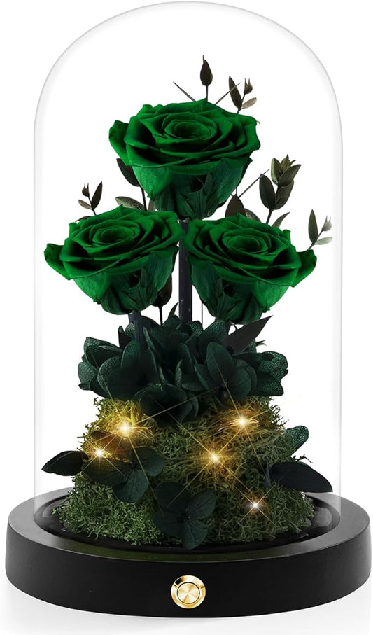 Valentines Day Flowers Roses Gifts for Her,Forever Real Preserved Roses in Glass Dome,Valentines Day Anniversary Birthday Gifts for Wife Girlfriend Women Mom Best Friend Her/Green Rose