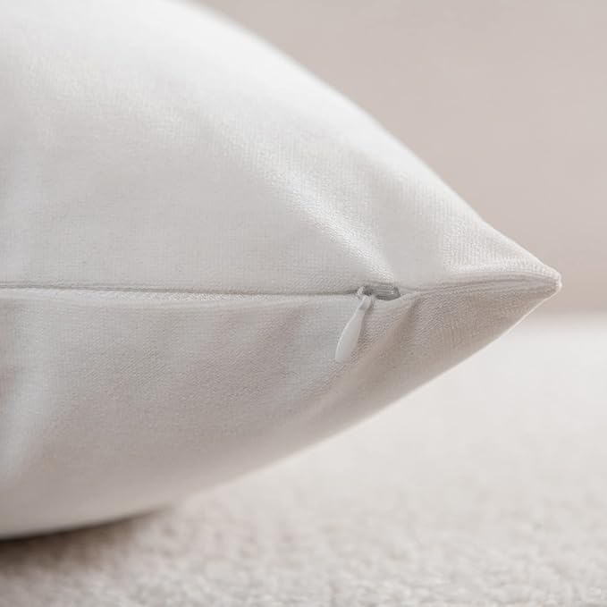 Decorative Pillow Cases (No Inserts) 16x16 White: 2 Pack Cozy Soft Velvet Square Throw Pillow Covers for Farmhouse Home Decor
