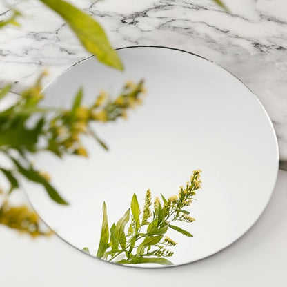 DARENYI 8 inch Glass Round Mirror Circle Wall Mounted for Bathroom, Living Room, Home Decor, Small Round Mirror Plate Trays for Wedding Table Centerpieces