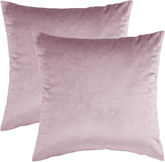 GIGIZAZA Decor Throw Couch Pillow Covers,Set of 2 Sweet Lilac Sofa Cushion Pillow Covers,Velvet Pillow Cases 24x24inch