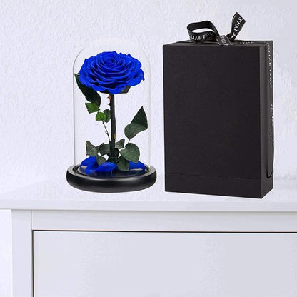 Preserved Roses Handmade Rose in Glass Dome, Preserved Flowers Never Withered Romantic Gifts for Her, Mother's Day, Birthday Gifts for Women (9 inch, Blue)