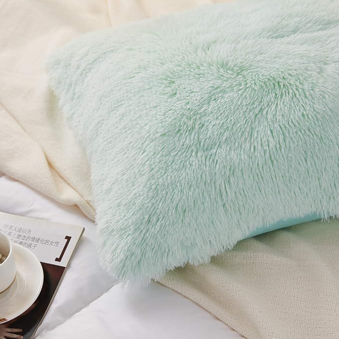 Uhamho Set of 2 Standard Queen Faux Fur Throw Pillow Covers Soft Velvet Decorative Pillowcases Zipper Closure(20 x 26 Inches Aqua)