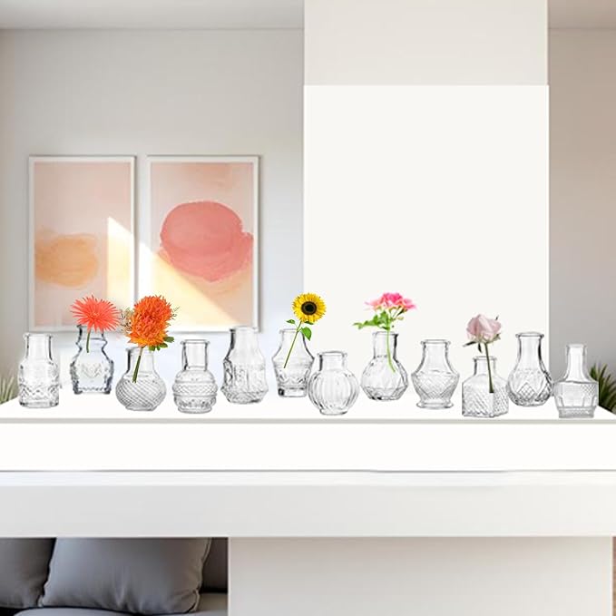 Clear Glass Bud Vase Cute Mini Vases 24Pcs EylKoi Flowers Vintage Small Glass Tiny in Bulk Different Shape Modern Set Lovely for Decor Table Wedding Home Table Centerpieces Dinning Party