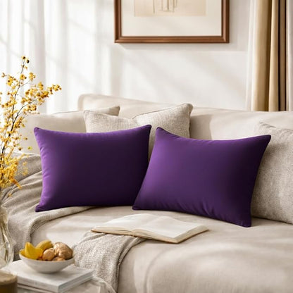 QUORGVES Purple Velvet Pillow Covers 12x20 Inch Set of 2, Soft Solid Decorative Lumbar Throw Pillow Covers, Decor Cushion Covers for Bed Sofa Couch Bedroom Living Room
