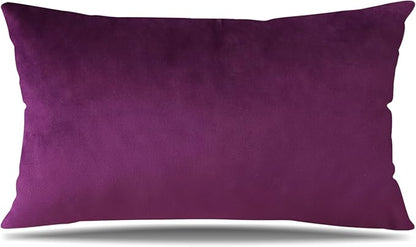 Artscope Luxury Velvet Pillow Covers Super Soft Decorative Square Throw Pillow Covers Case Cushion Covers for Sofa Couch Bedroom Car Decor 12x20 Inch Eggplant Purple
