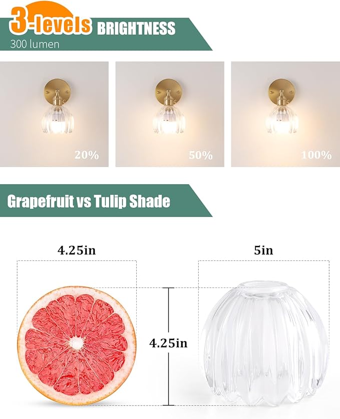 Tulip Lamp Shades Replacement, 5" Dia. * 4.25" H Clear Glass Sconce Shade Heavy and Thick for Wall Sconces Pendant Lights Ceiling Lights Chandelier,2 Pack
