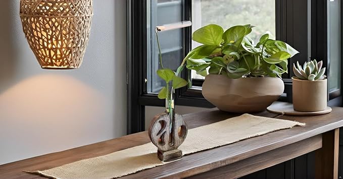 Plant Propagation Station Stand with Single Glass Test Tube Indoor Desktop Terrarium for Hydroponics Water Plant Cutting Flower Vase Planter Home Office Garden Decor Plant Lover Gifts