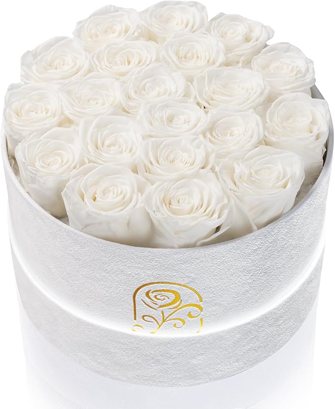 Gifts for Women Preserved Roses Flower Box, Luxury Velvet Box with 20 Roses, Preserved Flowers, Romantic Gift for Her, Wife, Girlfriend, Birthday Anniversary Christmas (White)