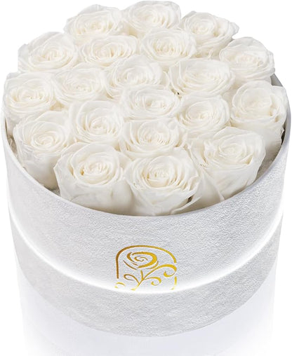 Gifts for Women Preserved Roses Flower Box, Luxury Velvet Box with 20 Roses, Preserved Flowers, Romantic Gift for Her, Wife, Girlfriend, Birthday Anniversary Christmas (White)
