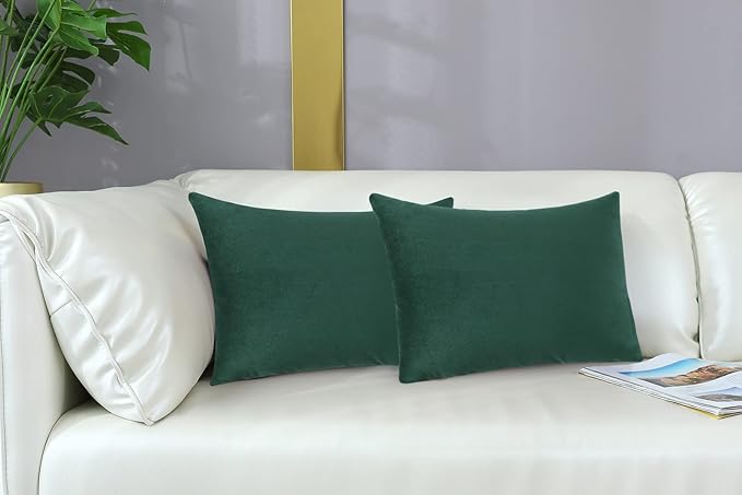 mixeoo Comfy Hunter Green Throw Pillow Covers Decorative Rectangle Solid Thick Velvet Super Soft Cushion Cases Home Decor for Sofa Couch Living Room Chair, Set of 2, 12 x 20 Inch