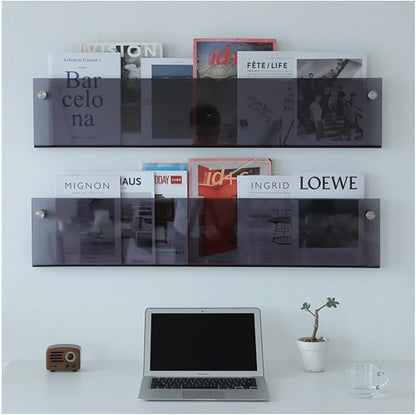 ROYALITA 2-Pack Acrylic Magazine Holder Brochure Holder, 17" Record Holder Magazine Rack, Fashion Hanging Bookshelf Literature Storage Rack for Waiting Room, Living Room, Office, Gray, 17 Inch