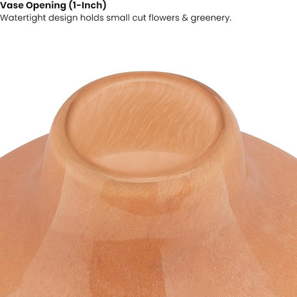 Torre & Tagus 4" Mouth Blown Art Glass Vase for Flowers - Apricot Orange Small Table Vase & Handmade Small Orange Accent as Cozy Home Decor, Neutral Bud Vases for Decorative Shelf Decor or Wedding