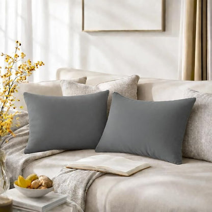 QUORGVES Dark Grey Velvet Pillow Covers 12x20 Inch Set of 2, Soft Solid Decorative Lumbar Throw Pillow Covers, Decor Cushion Covers for Bed Sofa Couch Bedroom Living Room - Dark Gray