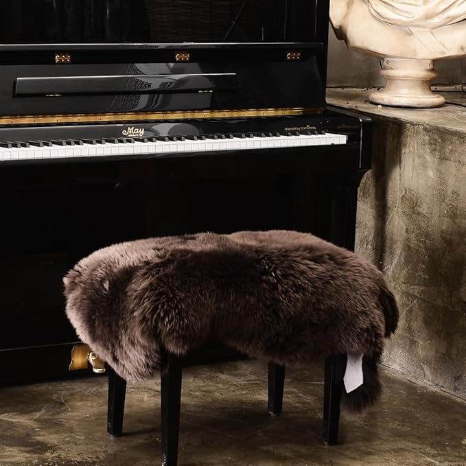 LLB Genuine Sheepskin Area Rug Wool Rug Fur Carpet Fluffy Shaggy Fur Rug for Living Room Kids Bedroom Real Sheepskin Throw Lambskin Rugs Sofa Chair Seat Covers (Chocolate Brown, 2 x 3 ft Sheepskin)