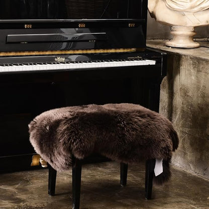 LLB Genuine Sheepskin Area Rug Wool Rug Fur Carpet Fluffy Shaggy Fur Rug for Living Room Kids Bedroom Real Sheepskin Throw Lambskin Rugs Sofa Chair Seat Covers (Chocolate Brown, 2 x 3 ft Sheepskin)