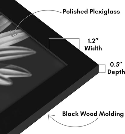 Americanflat 19x26 Picture Frame with Polished Plexiglass - Black Picture Frame - Wide Photo Frames Made of Engineered Wood for Vertical or Horizontal Wall Display - Epic Collection - Black