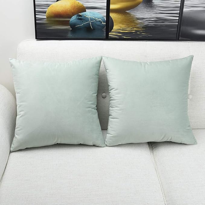 Artaimee Celadon Velvet Throw Pillow Covers 18x18 Inches (Pack of 2) | Soft and Cozy Cushion Covers for Sofa, Bed, Chair, Office | Machine Washable, Decorative Velvet Pillowcases