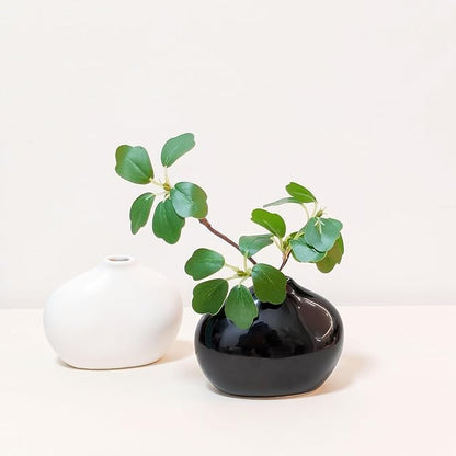 Black and White Ceramic Vase Set of 2, Cute Oval Ceramic vases, Small Modern Home Decor Flower Vase, vases for centerpieces, Bud vases for Decor, Farmhouse Small Ceramic vases Set
