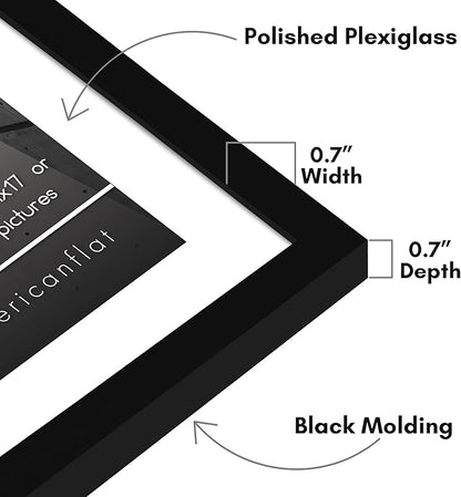 Americanflat 14x20 Picture Frame with Polished Plexiglass - Use as 11x17 Frame with Mat or Display 14x20 Photo Without Mat - Streamline Collection - Thin Border Picture Frames for Wall - Black