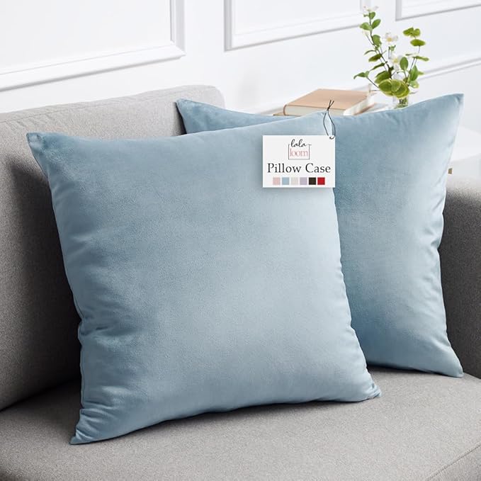 lalaLOOM Velvet Throw Pillow Covers, Set of 2, 24x24 Decorative Square Pillows Home Decor, Soft Accent Cases, Silky Machine Washable Pillowcases for Sofa, Couch, Bedroom, Living Room, Light Blue