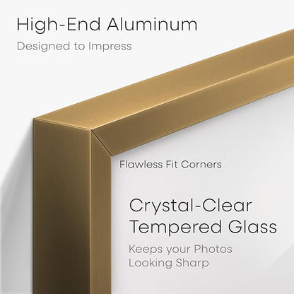 Homeforia 27x40 Picture Bronze Frame, High End Metal 27 x 40 Large Poster Frames with Mat 24 by 36 Photo, 27x40 Brass Movie Frame Matted to 24x36, 40x27 Thin Frames, Tempered Glass, Wall Kit, Set of 1