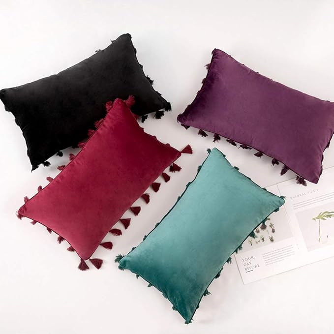 vctops Velvet Soft Solid Decorative Throw Pillow Cover with Tassels Boho Accent Cushion Case for Couch Bedroom Car Turquoise 12''x20''